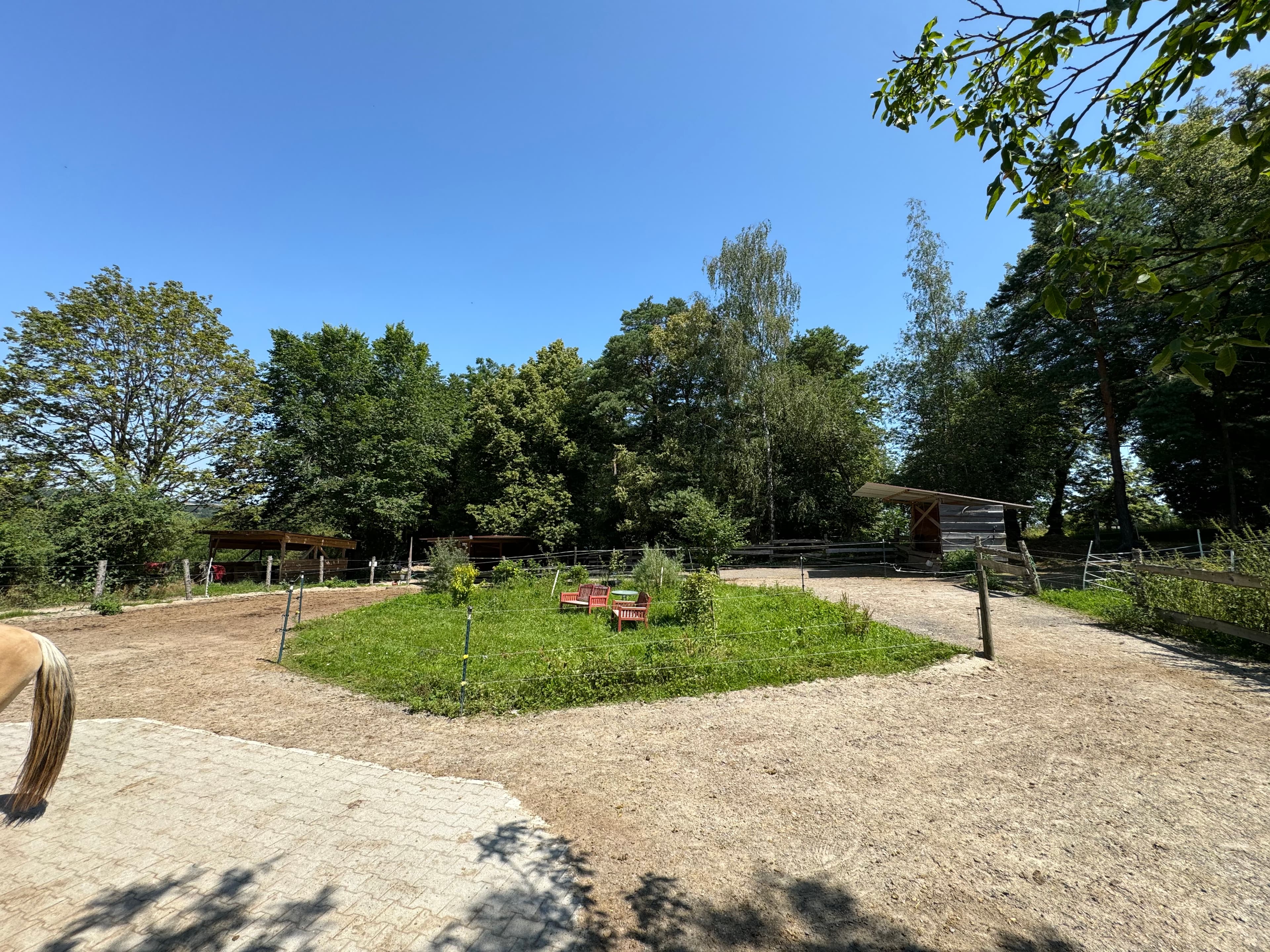 Panorama des Lindenhof-Geländes in Aidlingen mit Bäumen und Koppeln
