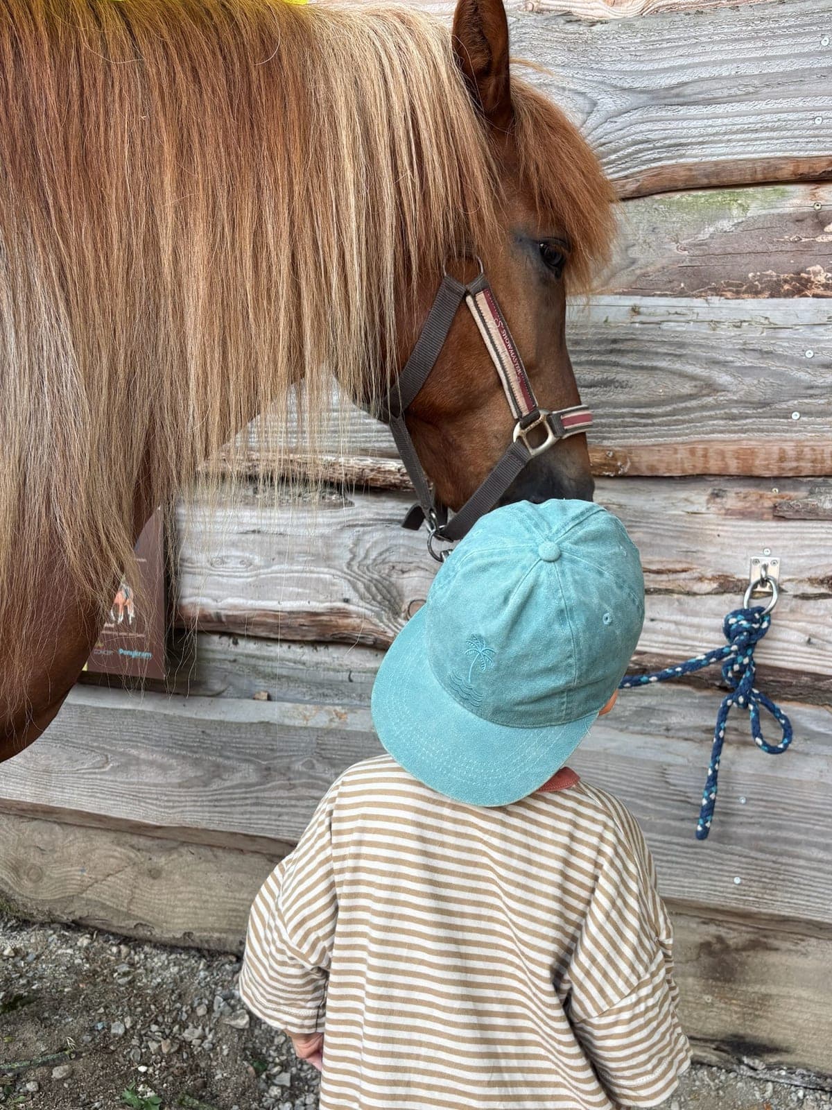 Kind steht dicht vor einem Pony und begegnet ihm auf Augenhöhe