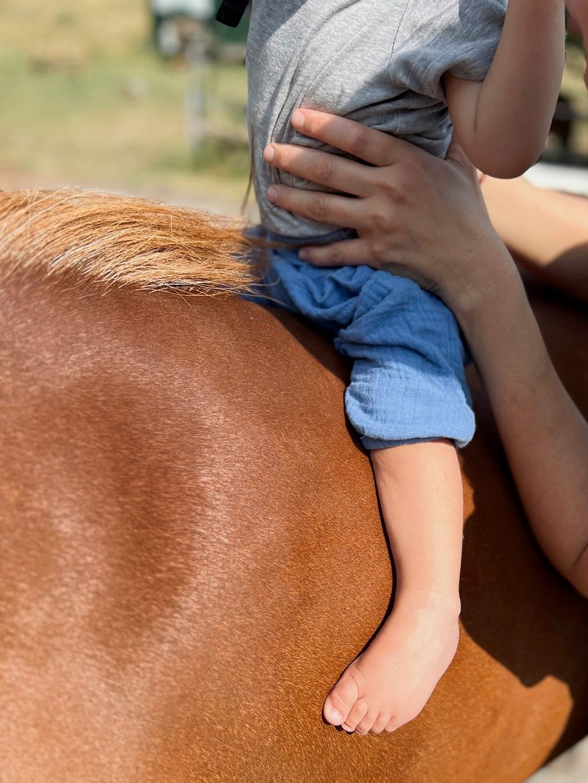 Nackter Kinderfuß liegt auf dem warmen Fell eines Fuchspferds, eine Hand stützt das Kind am Rücken