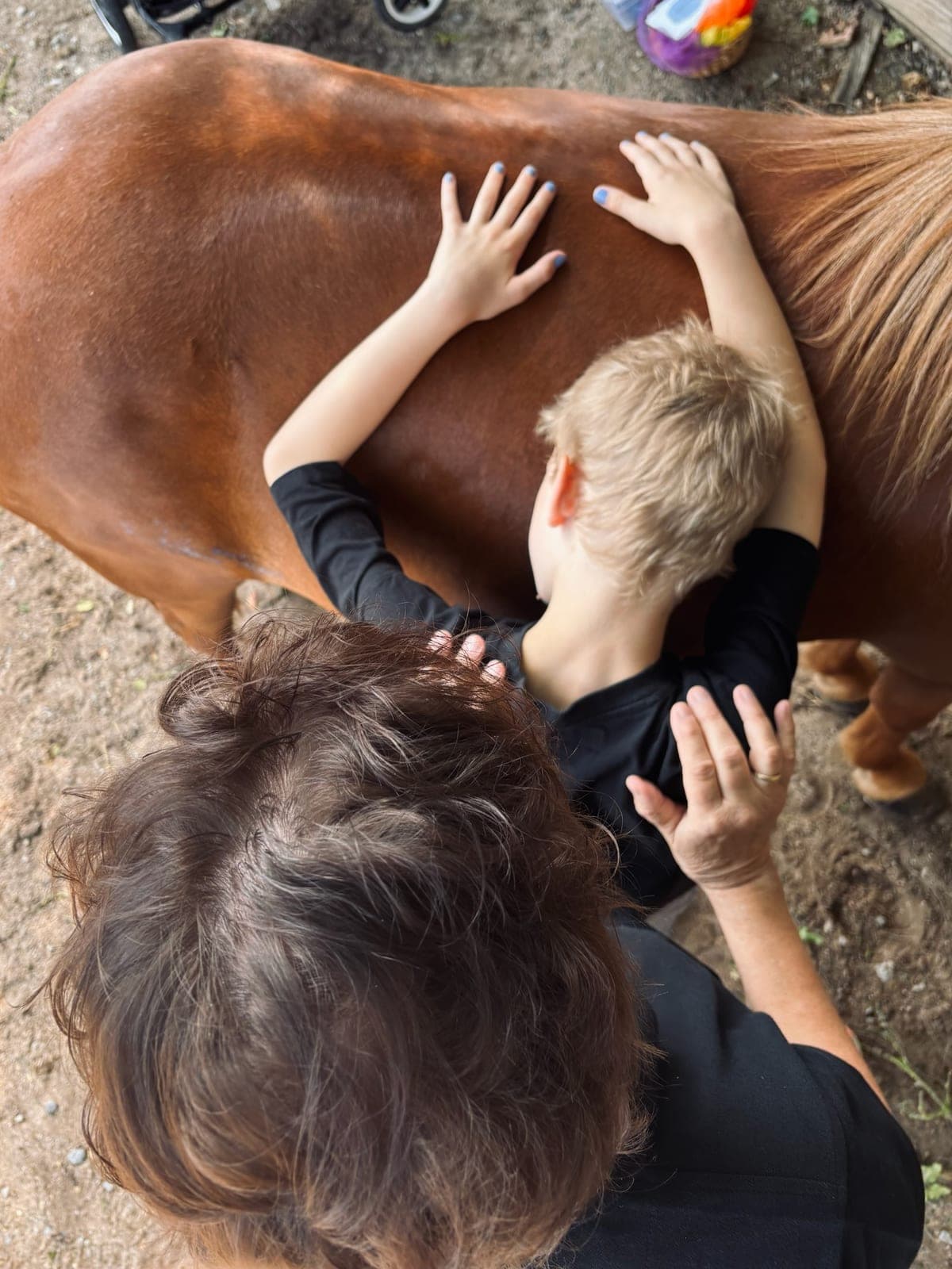 Zwei Kinderhände liegen flach auf dem warmen Rücken eines Ponys