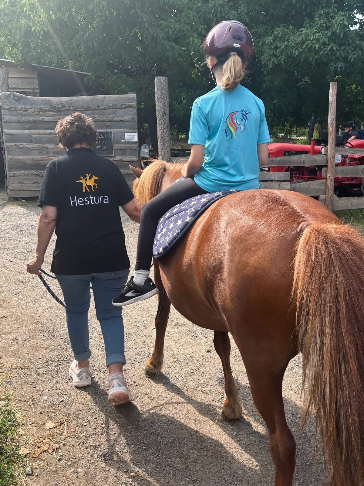 Pony mit Kind im Sattel wird über den sonnigen Hofweg geführt